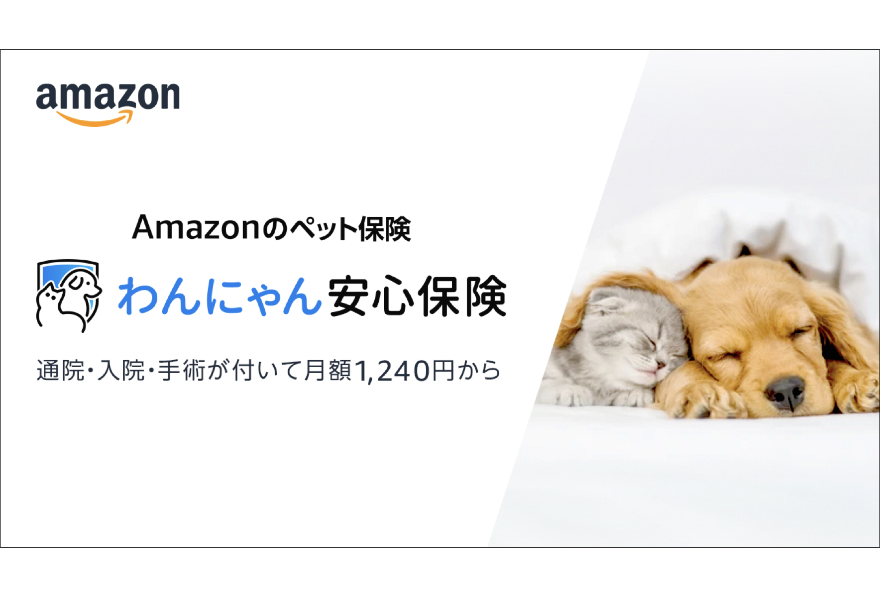 Amazon初のペット保険「わんにゃん安心保険」業界でも最高クラスの補償・最安クラスの生涯保険料で提供
